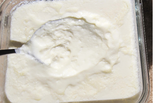 ஸ்பெஷல் தயிர் சாதம்.... இப்படி செய்தால் யாருக்கு தான் பிடிக்காது? | Special Curd Rice