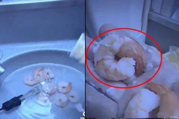 விமானத்தின் கழிவறையில் அத்துமீறி இறால் மீன் சமைத்த யூடியூபர்: வலுக்கும் கண்டனம்