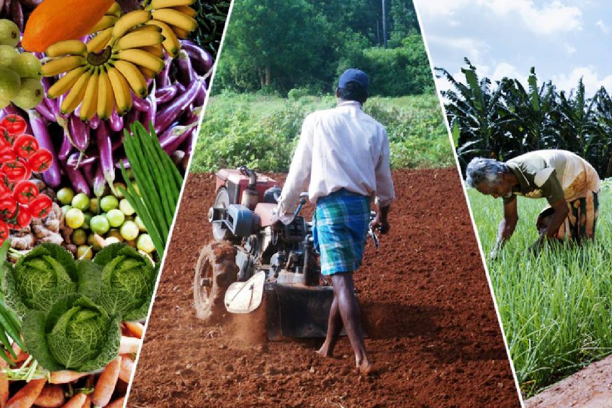 வடக்கு மாகாணத்தில் உள்நாட்டு உற்பத்தியின் பங்கு குறைவாகவே உள்ளது - ஆளுநர் விசனம் | North Production Share Remains Low Gov Vedanayagan வடக்கு மாகாணத்தில் உள்நாட்டு உற்பத்தியின் பங்கு குறைவாகவே உள்ளது - ஆளுநர் விசனம் | North Production Share Remains Low Gov Vedanayagan
