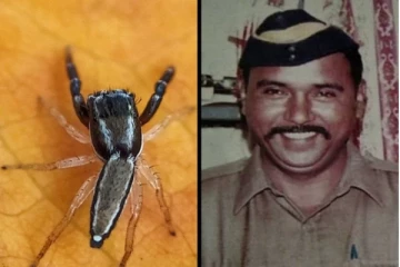 சிலந்திப் பூச்சிக்கு வீரமரணம் அடைந்த காவல் அதிகாரியின் பெயர் சூட்டிய விஞ்ஞானிகள்!