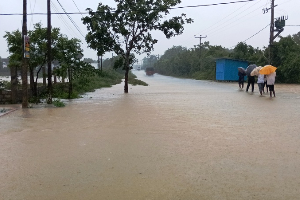வடக்கில் தீவிரமாகும் மழை ; கிளிநொச்சியில் தாழ் நிலப்பகுதிகள் வெள்ளத்தில் | Kilinochchi Low Lying Areas Flooded