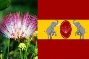 விஜயின் கட்சி கொடியில் இருக்கும் வாகை மலர்! அதன் பின்னால் இருக்கும் அர்த்தம் என்ன தெரியுமா?