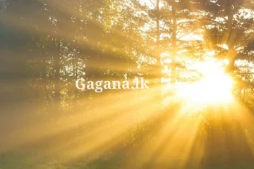 අද දිවයිනේ කාලගුණ තත්ත්වය - කාලගුණ විද්‍යා දෙපාර්තමේන්තුවෙන් නිවේදනයක්.