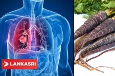 பாக்டீாியாக்கள் மற்றும் வைரஸ்களை எதிா்த்து போராட வேண்டுமா? அப்ப இதை மட்டும் சாப்பிடுங்க போதும்!