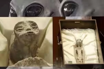 மெக்சிகோவில் வித்தியாசமான கண்காட்சி : 1,000 ஆண்டு பழமையான ஏலியன்களின் உடலங்கள் காட்சிக்கு