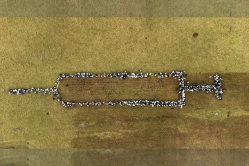 இது என்னவென்று தெரிகிறதா? ஜேர்மனியில் தடுப்பூசியை ஊக்குவிக்க புது முயற்சி!