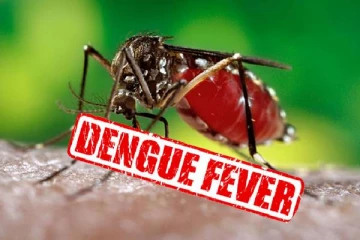 நாட்டில் சடுதியாக உயர்வடைந்து வரும் டெங்கு நோயாளர்களின் எண்ணிக்கை