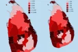 ලංකාවටම රතු එළි පෙන්වමින් මේ රෝගීන් ලක්ෂයට ආසන්න වෙයි - මරණ 65ක්