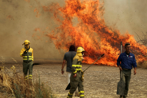 ஐரோப்பா வரை நீண்ட கனடா காட்டுத் தீ! | Long Canadian Forest Fire To Europe