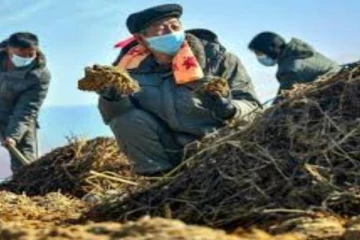 வடகொரியர்கள் தொடர்பில் வெளியான அதிர்ச்சி தகவல்!