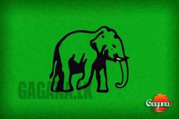 අලියට ගිය කලක් - ඒ.ජා.ප. මන්ත්රී සෙට් එක ලොකු වලියක් - බේරන්න බැරිම තැන නගර සභාව දින 14කට කල් දාලා