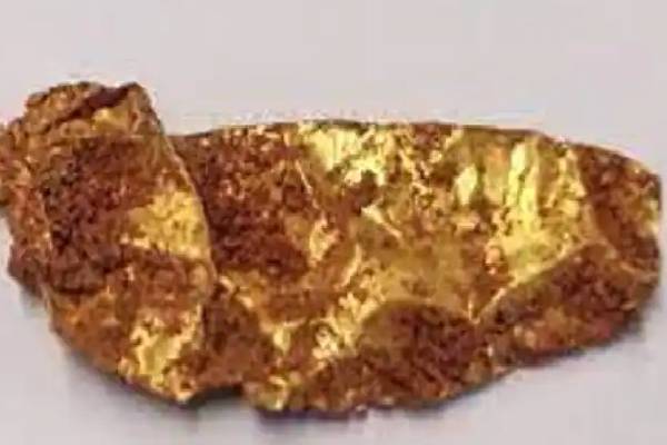 அகழாய்வில் தங்கம் கண்டெடுப்பு : ஆதிச்சநல்லூரை தொடர்ந்து சிவகளையில் தங்கம் - தமிழ்நாடு