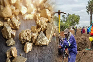 தென் ஆபிரிக்காவில் ஆரம்பமான திடீர் தங்க வேட்டை ; சமூக ஊடகங்கத்தால் குவியும் மக்கள்