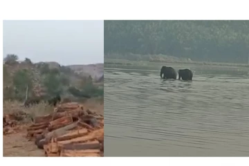 காட்டுயானை தாக்கியதில் இளைஞர் பலி.... - அதிர்ச்சி வீடியோ வைரல்...!