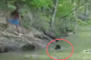 நண்பனை துரத்தி வந்த முதலை... காப்பாற்ற நபர் செய்த துணிச்சலான காரியம்