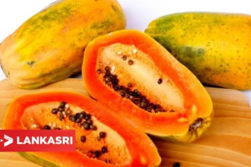 பப்பாளி பழத்தில் இவ்வளவு ஆபத்து உள்ளதா? இதை கண்டிப்பா தெரிஞ்சிகோங்க