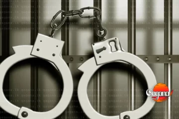 සංවර්ධන නිලධාරියාගේ රාජකාරියට බාධා කළ කාන්තාව අඩංගුවට