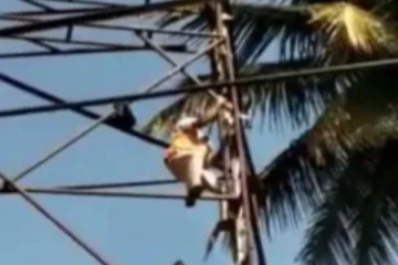 30 அடி உயர விளம்பர பதாகையில் சிக்கிய பறவை! உயிர் காத்த காவலர் ..வைரலாகும் வீடியோ