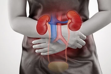 இந்த 7 பழக்கங்கள் உங்கள் சிறுநீரக ஆரோக்கியத்தை பாதிக்குமாம்: எச்சரிக்கையாக இருங்க