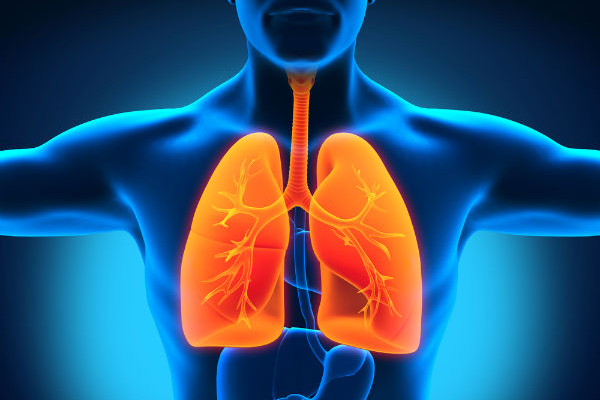 இரத்தினபுரி மாவட்டத்தில் காச நோய் அபாயம் | Cassel Disease In Ratnapura இரத்தினபுரி மாவட்டத்தில் காச நோய் அபாயம் | Cassel Disease In Ratnapura