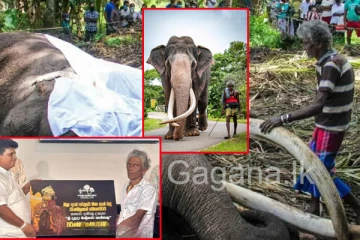 රටම ආදරය කළ නැදුන්ගේ කළු මාමාටත් විශ්‍රාම සුව විදින්න මාසෙන් මාසෙට ලැබෙන දේ මෙන්න.