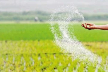 යල කන්නයට හිඟයකින් තොරව පොහොර – රංජිත් සියඹලාපිටිය