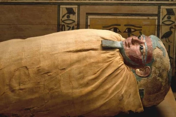 மம்மியின் வயிற்றில் சிதையாமல் இருந்த கரு..ஆச்சரியத்தில் உறைந்த விஞ்ஞானிகள்