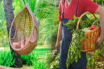 வேலை தேடுவோருக்கு அரிய வாய்ப்பு! இயக்கச்சி றீச்ஷாவில் உடனடி நியமனம் - இன்றே விரையுங்கள்..