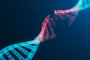 DNA என்பதற்கு தமிழில் விரிவான பதம் என்ன ?