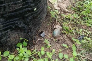 தமிழர் பகுதியொன்றில் பாடசாலைக்கு அருகில் கிடந்த பாகிஸ்தான் நாட்டு பொருளால் பரபரப்பு