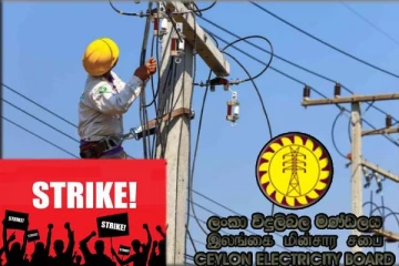 மேலும் 51 மின்சார சபை ஊழியர்கள் பணி இடைநீக்கம்