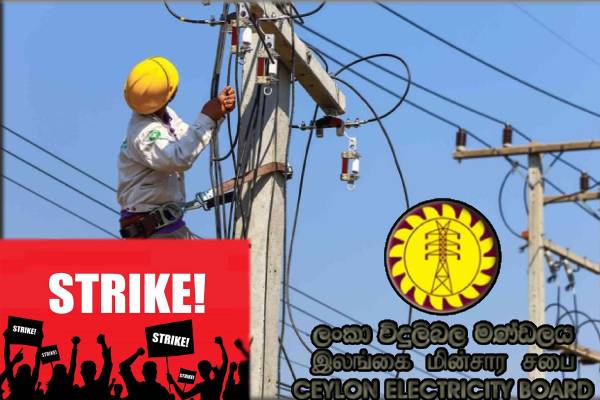 மேலும் 51 மின்சார சபை ஊழியர்கள் பணி இடைநீக்கம் - ஐபிசி தமிழ்