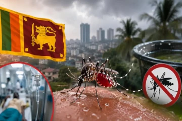இலங்கையில் உச்சம் தொட்ட டெங்கு!