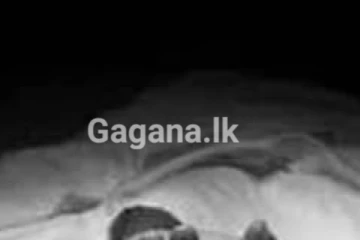 මවගේ බෙහෙත් බෝතලේ බීපූ පුංචි මල් කැකුළ..ගමක්ම හඬවමින් අවසන් ගමන් යයි..