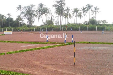 ජනතාවට ඉඩම් ඔප්පු ලබාදීම අරඹයි. ..