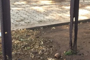 யாழில் மயானத்தையும் விட்டுவைக்காத கள்வர்கள்!