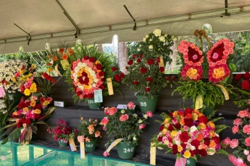 நுவரெலியாவில் கண்ணை கவரும் மலர் கண்காட்சி; குவிந்த சுற்றுலா பயணிகள்