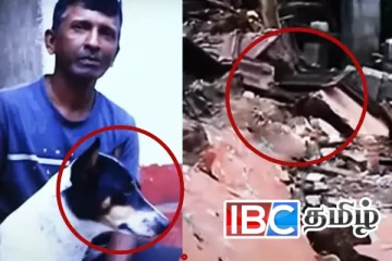 தென்னிலங்கையில் நெகிழ்ச்சி சம்பவம் - குடும்பத்தை காப்பாற்றிய நாய்