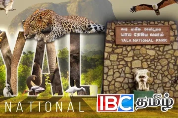 மீண்டும் திறக்கப்படவுள்ள யால தேசிய பூங்கா