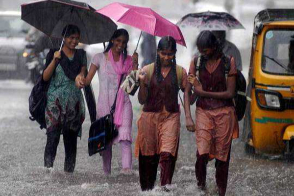 நெல்லை,துாத்துக்குடி பள்ளி,கல்லுாரிகளுக்கு நாளை விடுமுறை - தமிழ்நாடு