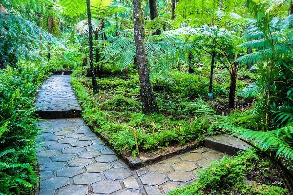 ஹக்கல தேசிய தாவரவியல் பூங்கா மீண்டும் திறப்பு | Hakgala National Botanical Garden Reopens