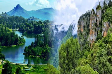 கொடைக்கானல் மலையில் பேரழகியாய் ஜொலிக்கும் இயற்கை அழகி...பார்ப்பதற்கு இரு கண்கள் போதாது!