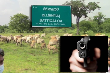 மயிலத்தமடுவில் தொடரும் அராஜகம் : பசுவை சுட்டு உரித்த மூவர் தப்பியோட்டம்!