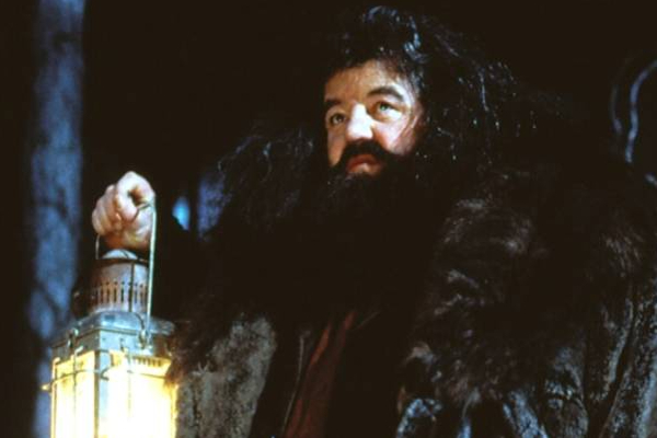 ஹரிபார்ட்டர் திரைப்படத்தில் நடித்த முக்கிய நடிகர் காலமானார்! | Harry Potter Movie Actor Robbie Coltrane Died