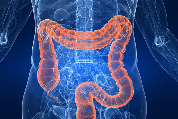 உடல் எடையை குறைக்கும் பச்சை மிளகாய் | Green Chillies For Weight Loss