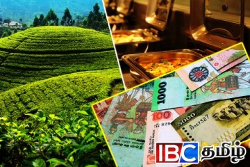 கொழும்மை புறக்கணித்து பெருந்தோட்டத்திற்கு படையெடுக்கும் மலையக இளைஞர்கள்!