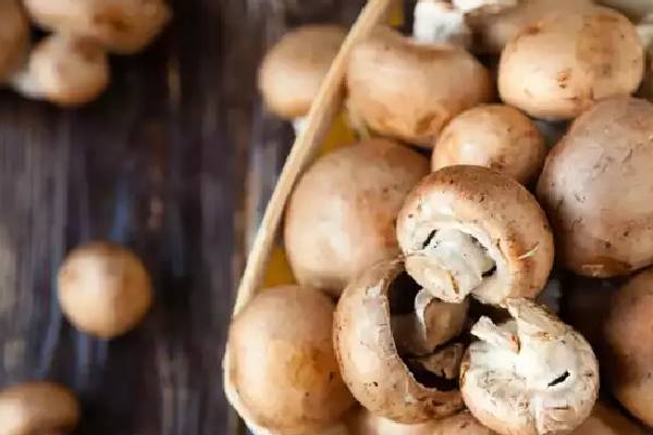 அதிக யூரியா இருந்தால் இந்த உணவுகளை தவிர்க்க வேண்டுமாம் | These Foods Should Be Avoided Are High In Urea