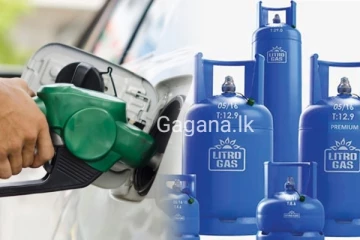 ඉන්ධන සහ ගෑස් මිල සංශෝධනය නොකිරීමට හේතුව මෙන්න..