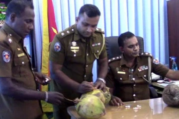 කවුරුත් පුදුම කරමින් පොල්ගෙඩි වලින් මතු වු දේ..(PHOTOS)