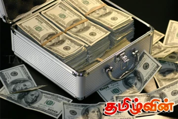 புலம்பெயர் தொழிலாளர்கள் இலங்கைக்கு அனுப்பியுள்ள பணம் தொடர்பில் வெளியாகியுள்ள தகவல்